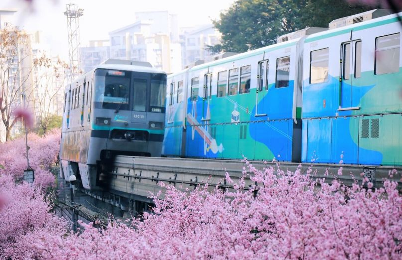重庆开往春天的列车打卡攻略（赏花地点 路线）