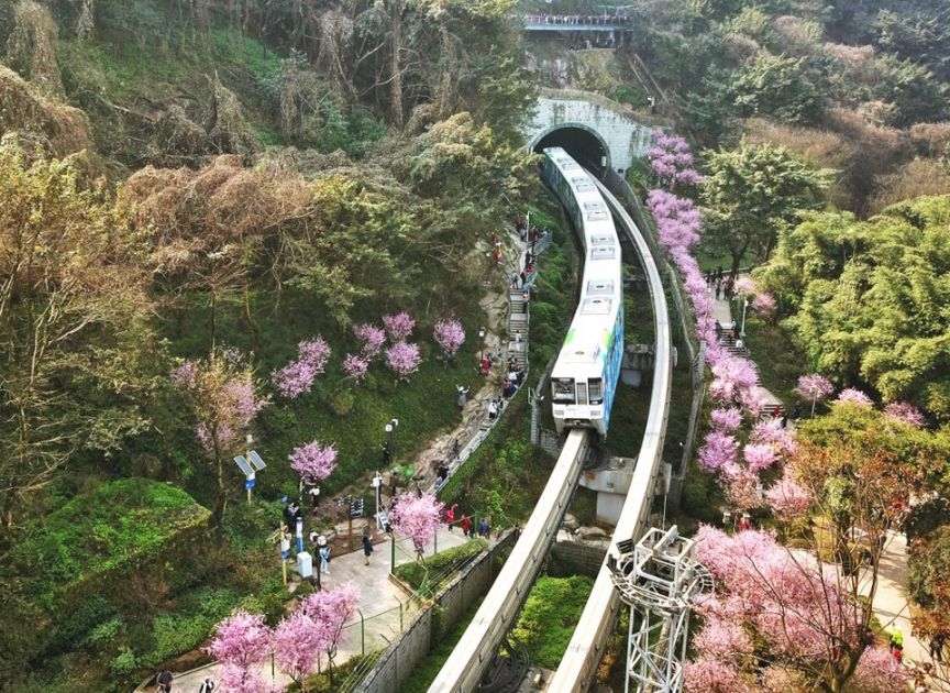 2022重庆开往春天的列车周边游玩攻略（景点 路线）