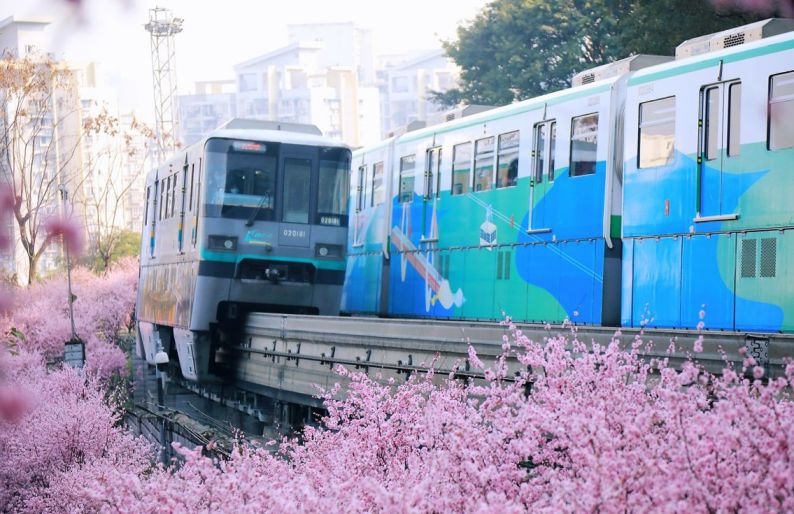 2022重庆开往春天的列车周边游玩攻略（景点 路线）
