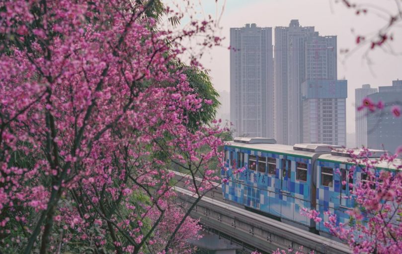 2023重庆开往春天的列车周边游玩路线推荐