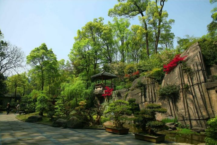 2020重庆南山植物园春节游玩攻略（赏花 相亲 儿童集市）