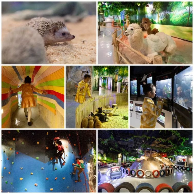 2020重庆茱莉动物园春节特惠活动（时间、门票、交通）