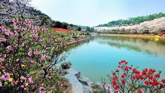 长沙周边九大森林公园好去处