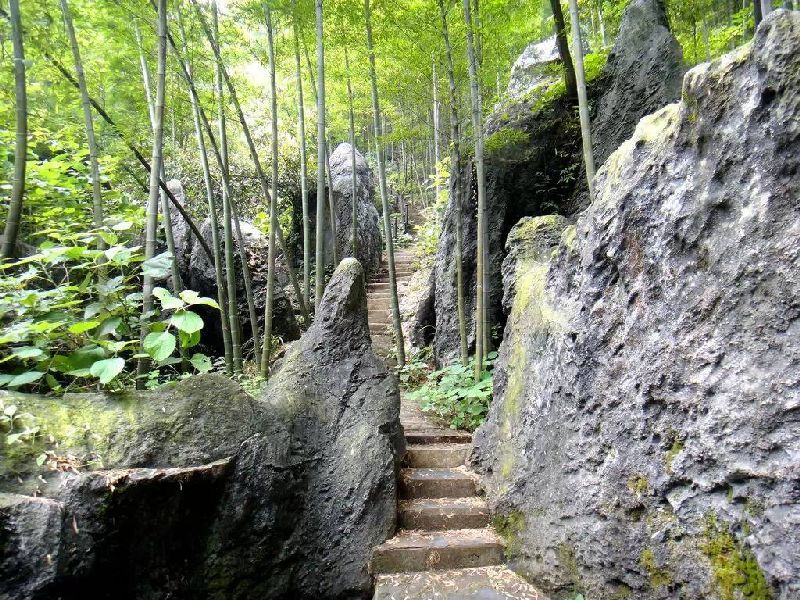 蔡伦竹海——相信我,这里可以拍《十面埋伏》