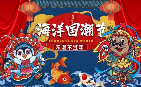 海底徒步游玩攻略,海底徒步游玩攻略大全