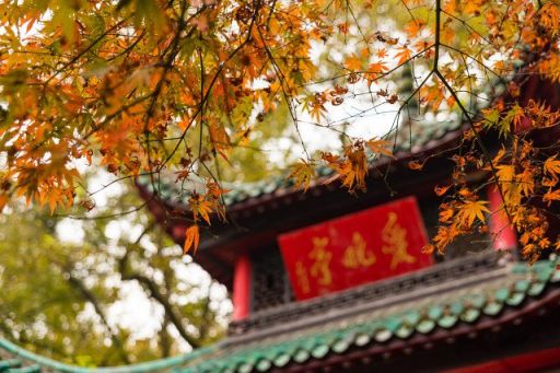 2018年长沙哪里有枫叶的地方(汇总)