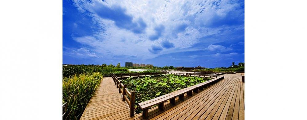 洋湖湿地公园游玩攻略(门票 玩什么 交通指南)