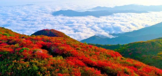 长沙旅游 周边旅游 > 浏阳游玩路线推荐之原生态之旅(附景点攻略)