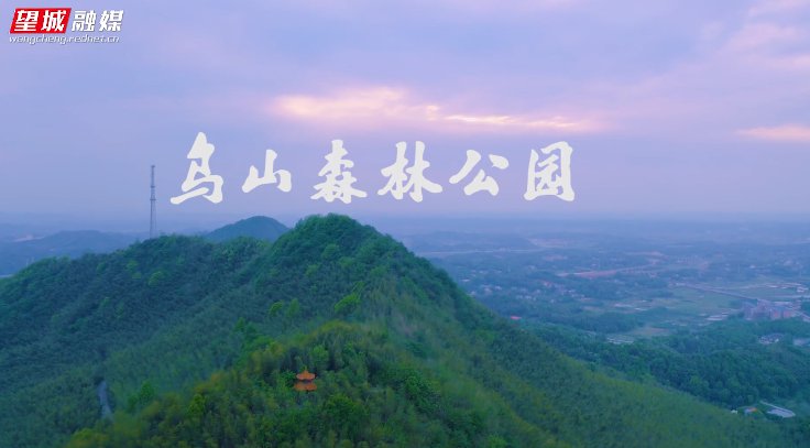 长沙旅游 长沙景点 景点攻略 > 望城乌山森林公园好玩吗?