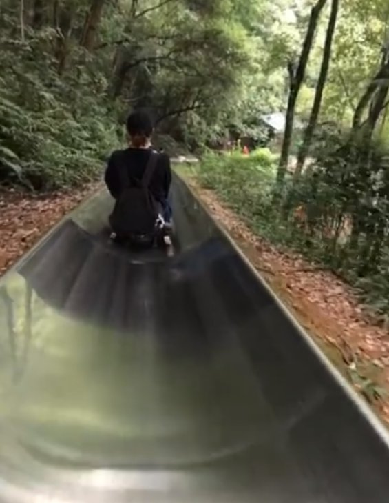 岳麓山滑道指南(门票 咨询电话 营业时间 乘客须知)