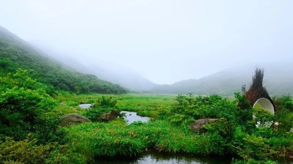 2020大围山亲子帐篷音乐节活动好玩吗？