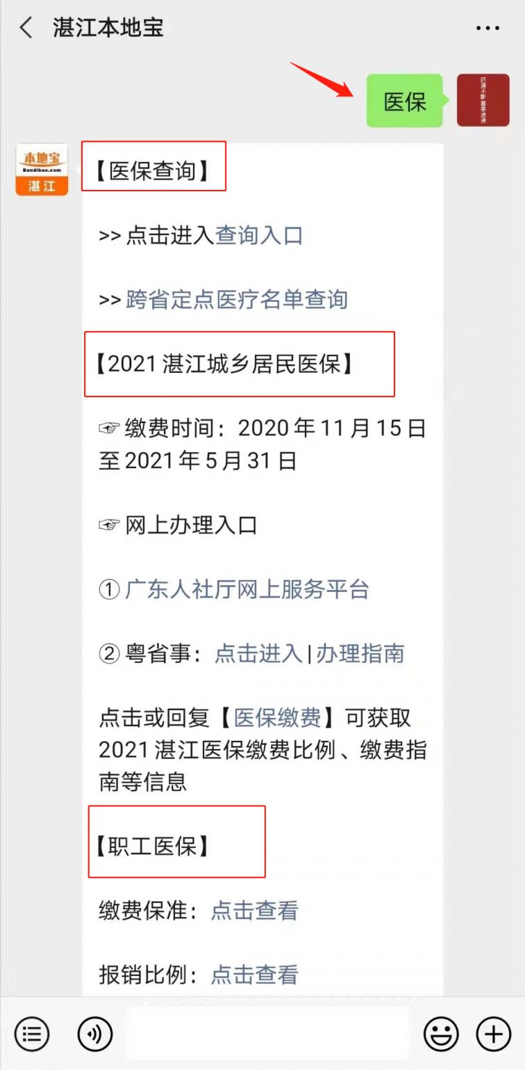 2021年湛江有多少人口_湛江黄梅有多少公里(3)