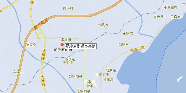 金州区登沙河街道地图高清版