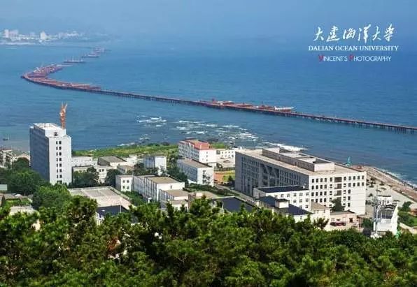 大连所有大学排名（附大学VR全景图）