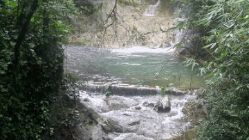 佛山南海湾森林生态园旅游攻略