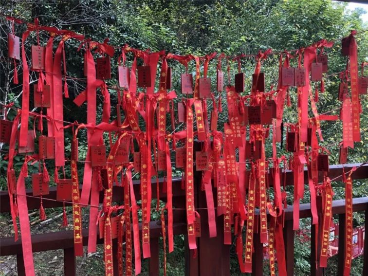 文昌阁,祈福运   春节期间,文昌阁朝拜,烧新年第一柱香,祈求新年好运