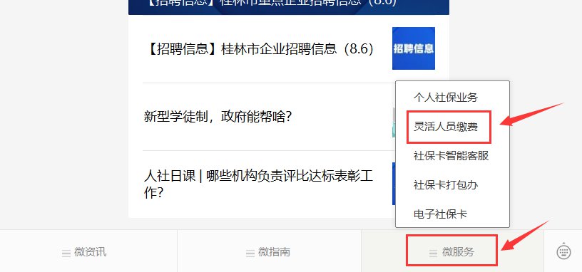 桂林城乡居民养老保险线上缴费指南