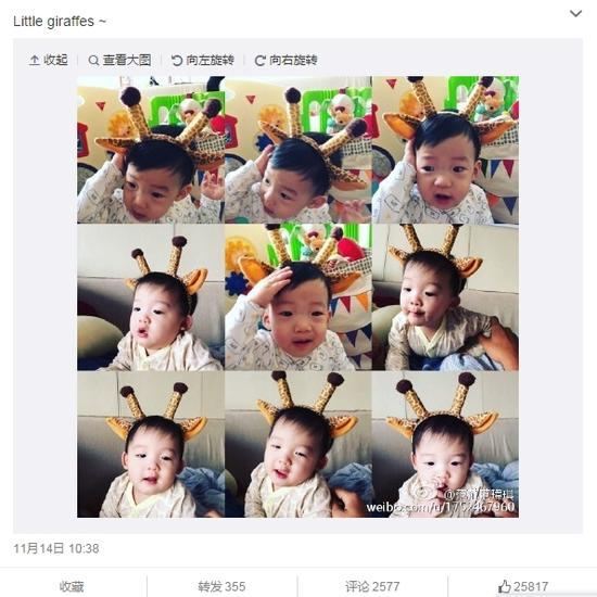 范玮琪双胞胎儿子名字生日及最新照片一览