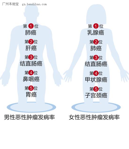 2015最新广州恶性肿瘤发病率排行榜(分男女)