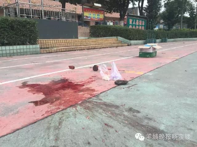 广州一7岁小学女生被校车碾压身亡
