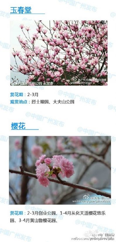 2016广州赏花攻略 全年赏花时间及地点一览