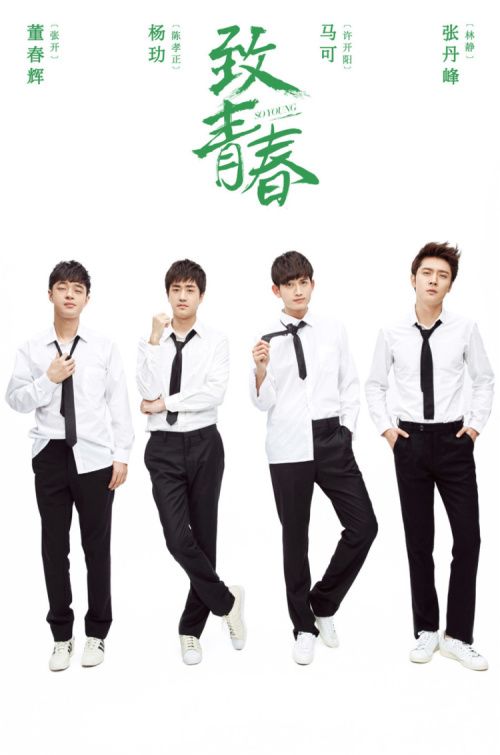 电视剧致我们终将逝去的青春什么时候播出(演员表,剧情简介)