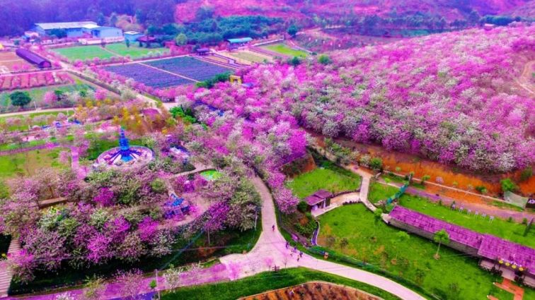 2020春节期间广州花都区有什么好玩的地方？