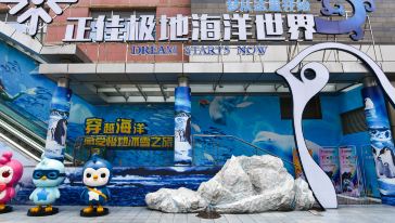 广州正佳极地海洋世界门票多少钱?哪里买便宜?