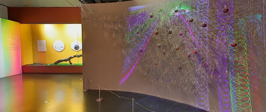 广东省博物馆虚拟展览在哪看？