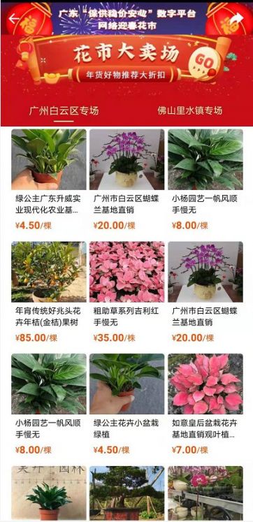 2021广州白云区线上花市在哪里看(附花市入口)