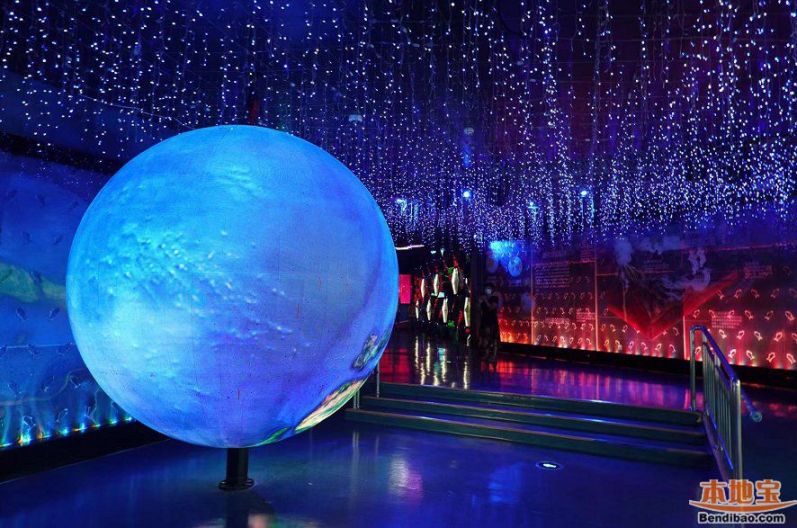 2021广州正佳极地海洋世界五一有什么活动?