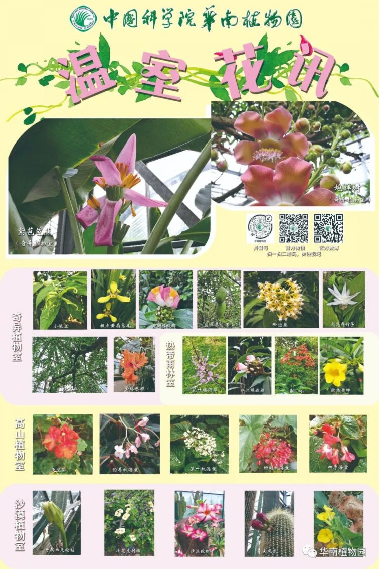 2021广州华南植物园5月有什么花？