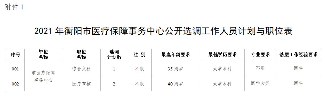 2021衡阳医疗保障事务中心公开选调公告