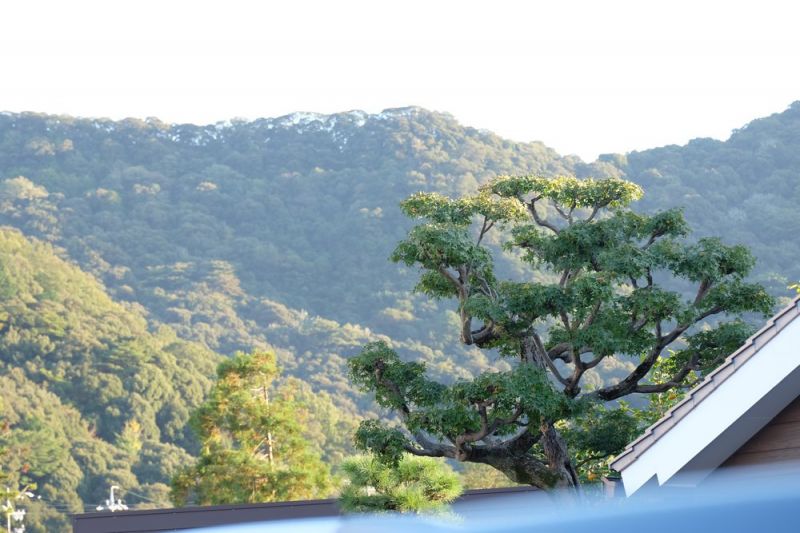 衡阳县金华山冬日登山路线