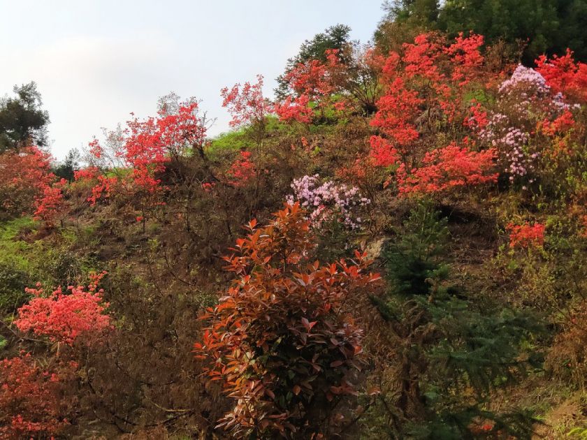 衡阳天堂山游览指南