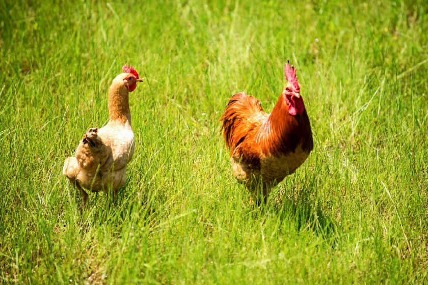 衡阳衡南县五一旅游景点盘点