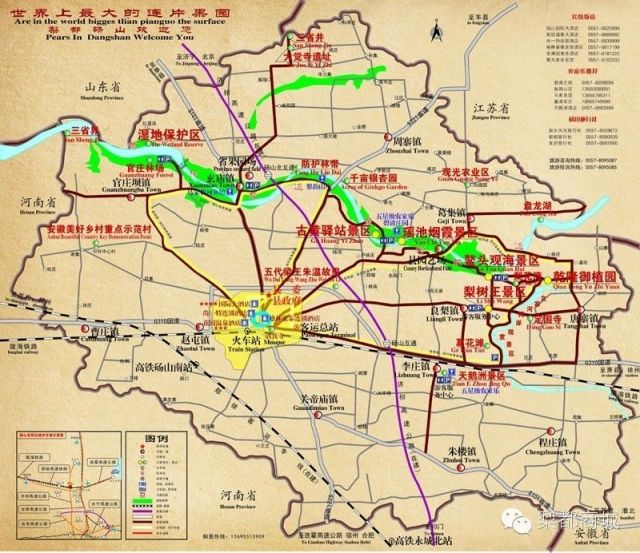 砀山县2020gdp_世界最大梨园有多大 八位网络达人带你到砀山看看(2)