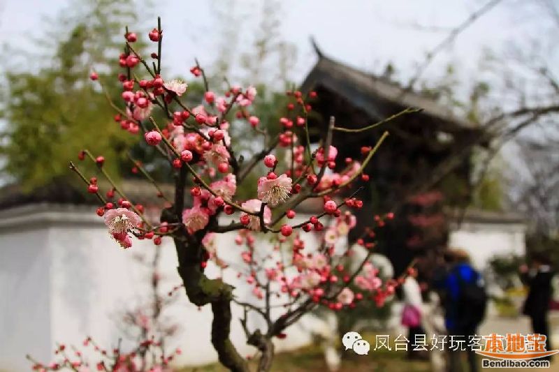 合肥植物园游玩攻略