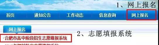 2020年合肥中考志愿填报指南和注意事项