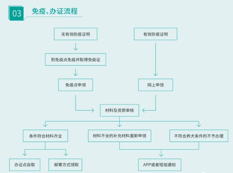 肥东县养狗管理政策是怎样的？