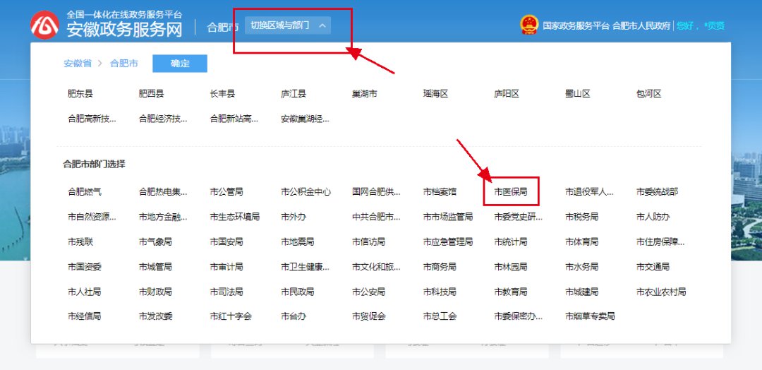 合肥城乡居民医保在哪个网站上可以交？