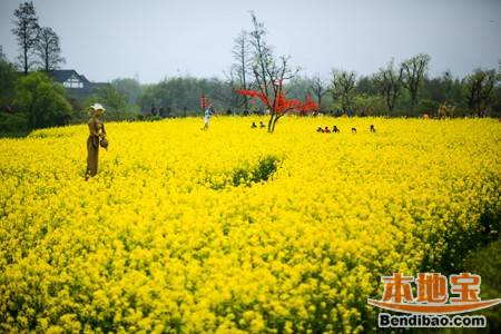 杭州西溪湿地洪园游玩攻略