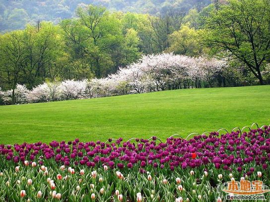 杭州西湖春季赏花推荐