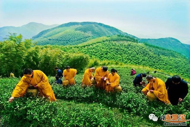 四月踏青,吃喝玩乐 时间:4月25日 地点:径山寺