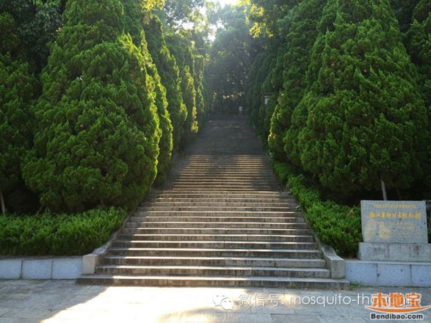 浙江革命烈士纪念馆基本陈列(附地址门票信息 杭州本地宝