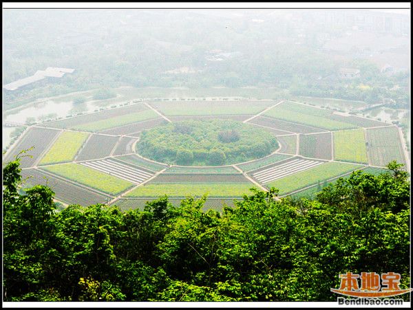 杭州八卦田清明赏油菜花一日游攻略（路线+周