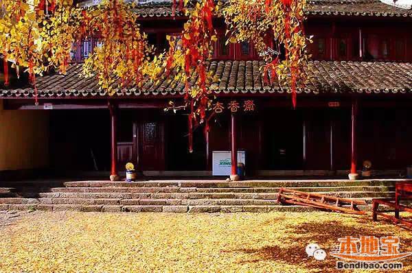 杭州秋季赏银杏好去处 周边美丽的火树银花