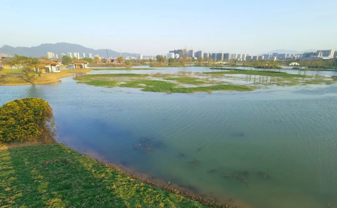 2021杭州富阳阳陂湖公园风景