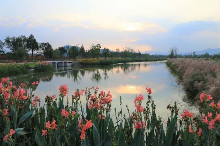 2021杭州富阳阳陂湖公园风景