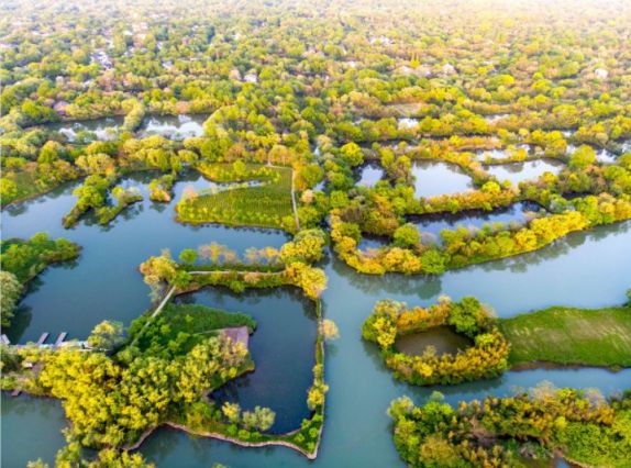 2021杭州西溪湿地绿堤对市民游客免票开放